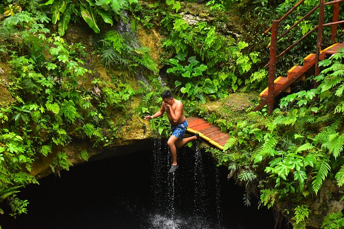 Discover 3 amazing cenotes. Includes transport & snack - Puerto Morelos Cenote Route, the real point of the day