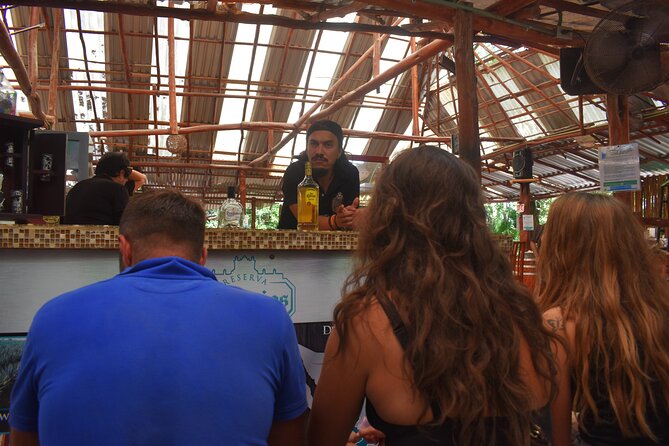 Discover 3 amazing cenotes. Includes transport & snack - The three cenotes: how the day feels in the water