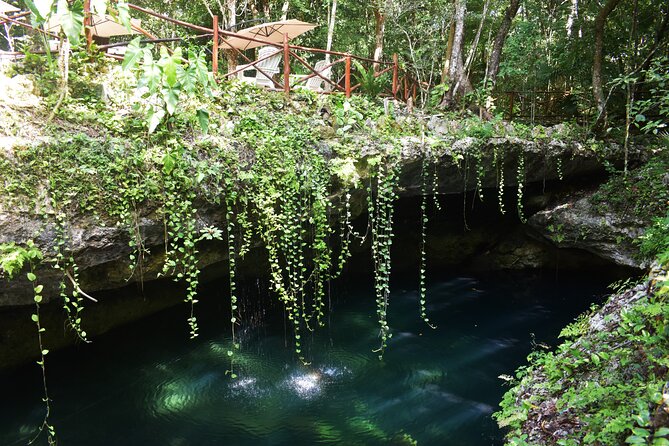 Discover 3 amazing cenotes. Includes transport & snack - Getting there: transport comfort and the off-road safari vibe