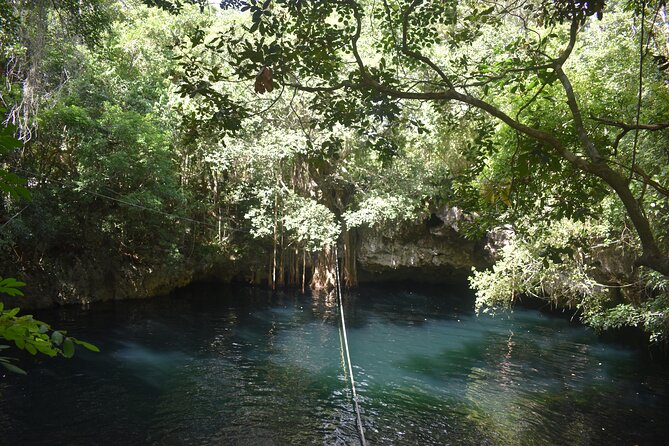 Discover 3 amazing cenotes. Includes transport & snack - What to bring, plus the small extras you may pay