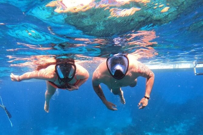 Discover Isla Contoy & Isla Mujeres: Nature, Snorkel & Beaches - Isla Contoy time on land: birds, walking, and small moments
