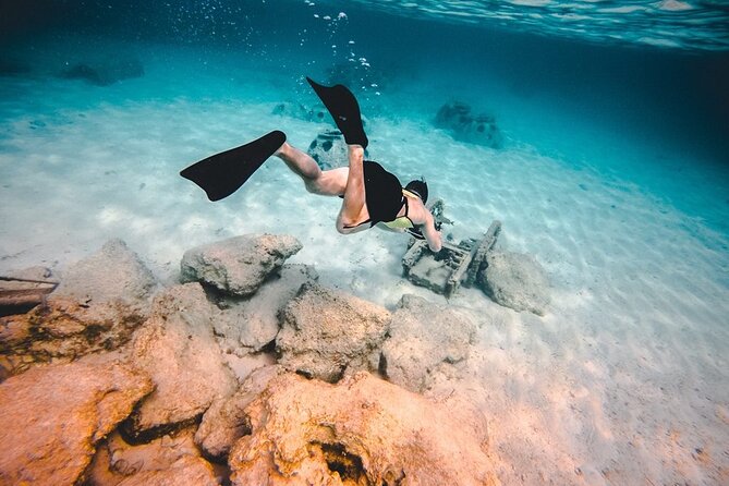 Discover Isla Contoy & Isla Mujeres: Nature, Snorkel & Beaches - Isla Mujeres stop: beach time and shopping on the return