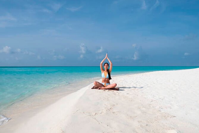 Discover Isla Contoy & Isla Mujeres: Nature, Snorkel & Beaches - Food and drinks: continental breakfast, fresh lunch, and open bar pacing