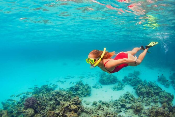 Discover Isla Contoy & Isla Mujeres: Nature, Snorkel & Beaches - Price and value: $140 plus the $20 government fee