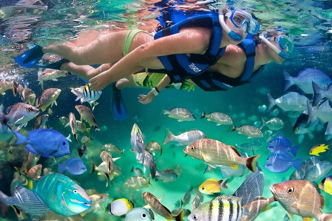 Discover Isla Mujeres tour with snorkel, buffet and open bar - Timing, Group Size, and How to Plan Your One-Day Island Escape