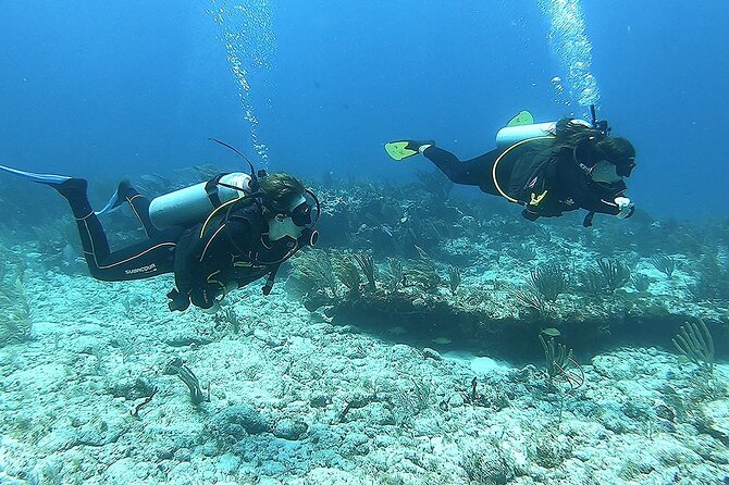 Discover Scuba - Puerto Morelos reef time with first-timer friendly scuba