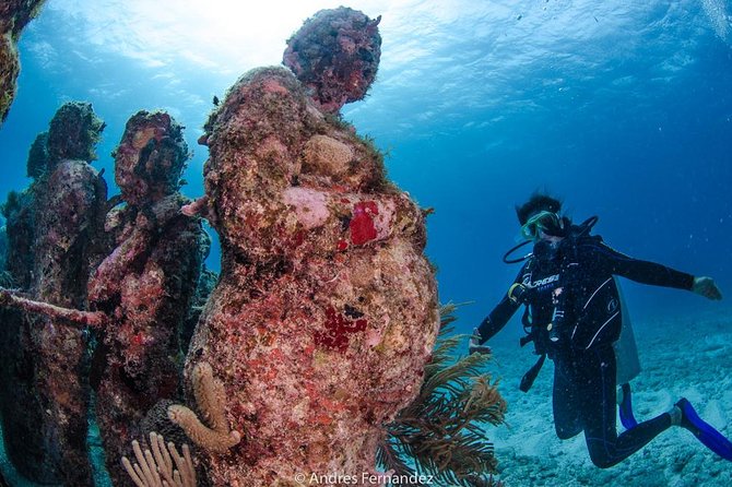 Discover scuba ,MUSA and Manchones reef dive without license - The MUSA Underwater Museum at about 30 feet