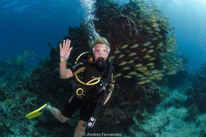 Discover scuba ,MUSA and Manchones reef dive without license - Small-group instruction: the difference between nervous and confident