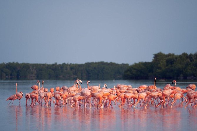Discover the FABULOUS PINK WATERS at the Caribean (Las Coloradas+Río Lagartos) - Photo tips that actually help at the salt flats