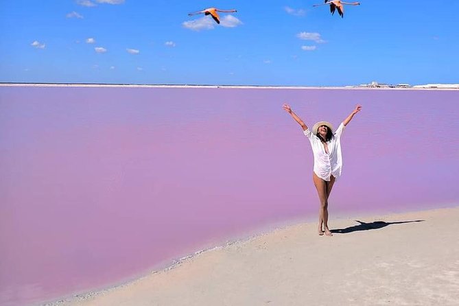 Discover the FABULOUS PINK WATERS in the Caribean - Price and What You Actually Get for $125