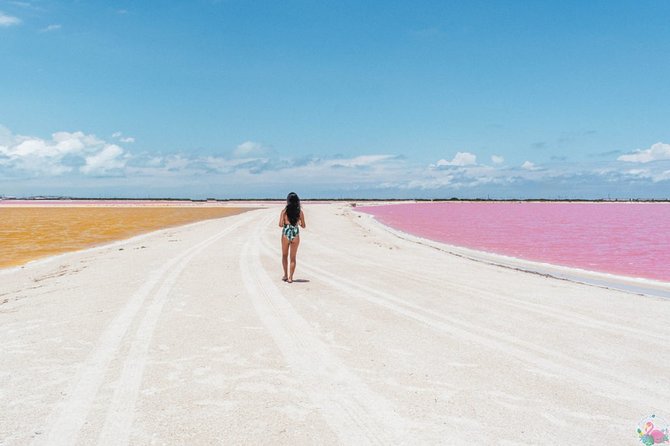 Discover the FABULOUS PINK WATERS in the Caribean - Guides, Language, and Photo Help That Makes the Day Easier