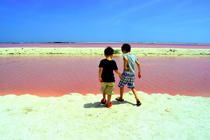 Discover the FABULOUS PINK WATERS in the Caribean - Should You Book This Pink-Water Day Trip?