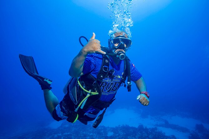 Discovery Scuba Diving !! - Value for Money: Why Beginner Structure Beats Trial-and-Error
