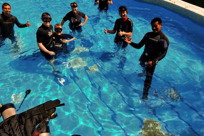 Discovery Scuba Diving !! - Pool Training That Builds Comfort Before You Meet the Reef