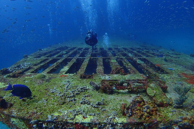 Diving in Cancun for Certified Divers | 2 Dives | All Inclusive - Weather, timing, and motion sickness: the real-world checklist