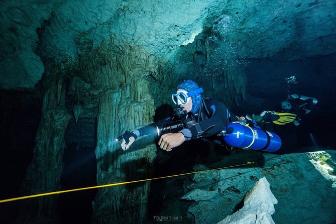 Diving in Cenotes: discovering the Mayan Underworld - Lunch, Rest, and Snacks Between Sessions in the Van