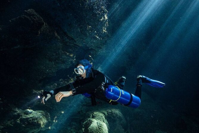 Diving in Cenotes: discovering the Mayan Underworld - Price and Value: What $239.05 Really Buys You