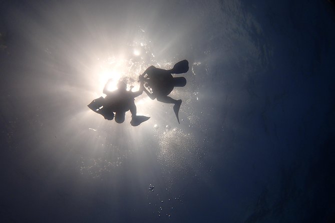 Diving in the Mexican Caribbean for Beginners | 2 Tanks 2 Dives | All Inclusive - The boat ride: short, timed, and worth respecting