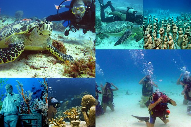 Diving + Muse - The real-world expectation check: MUSA name confusion can cost you