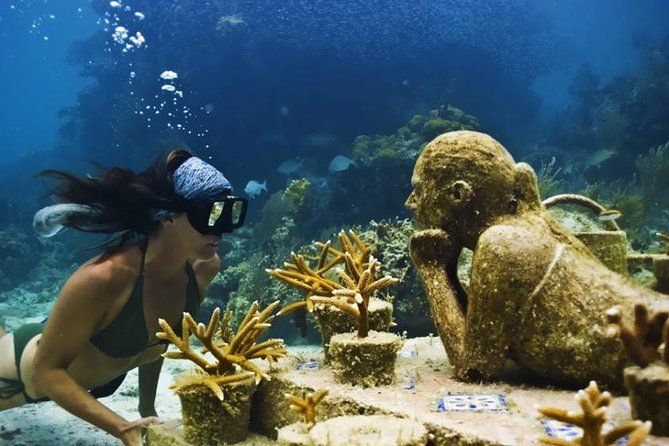 Diving + Muse - Where it starts and how to show up ready