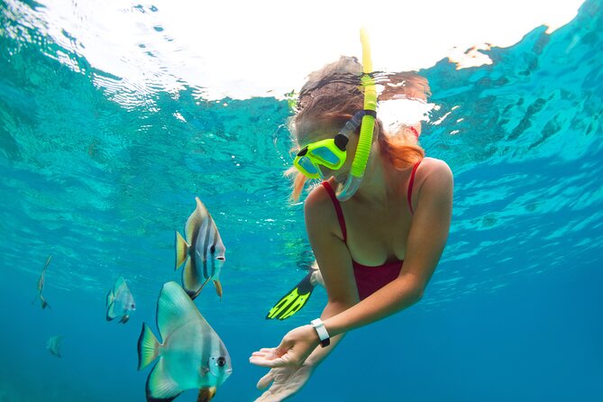 Drive an Speedboat + Mayan Ritual + Food Tasting and More! - Smart Tips for a Smooth Two Hours at Puerto Maya Cancún