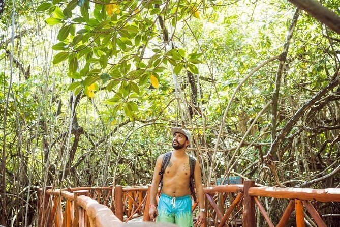 Eco Adventure Cenotes Casa Tortuga!+ Tulum Ruins From Cancun & Playa Del Carmen - Playa del Carmen’s Quinta Avenida: one hour of strolling and choices