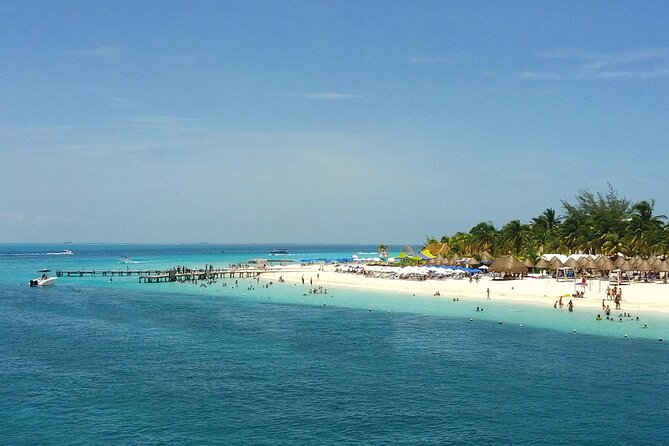 Eco Whale Shark Encounter - What Isla Mujeres Adds: Playa Norte Time on a Classic Beach Break