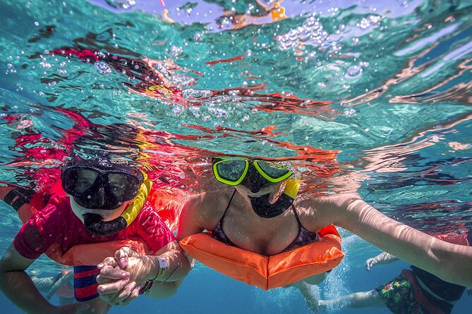 Eco Whale Shark Encounter - Snacks, Water, and the Little Extras That Save Your Energy