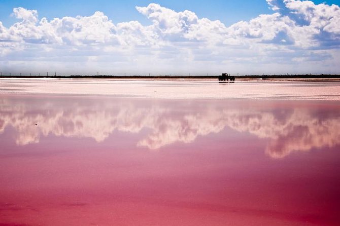 Ek Balam, Rio Lagartos and Las Coloradas Private Tour from Cancun - Private transport and the 6:30 am start: How the day actually runs