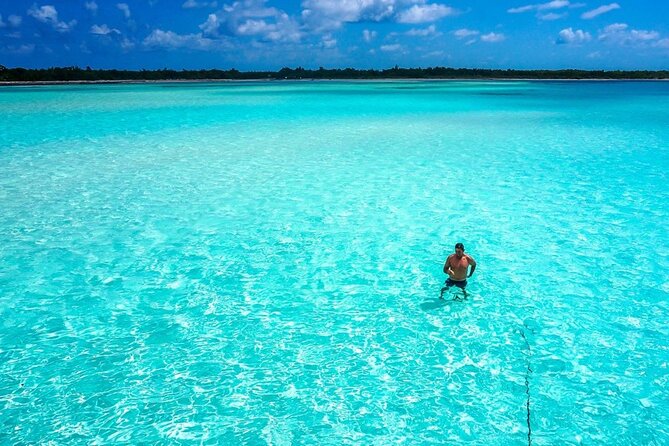 El cielo Cozumel From Cancún and round Transfer with Lunch - Stop 2: Colombia Reef, where the guided route helps