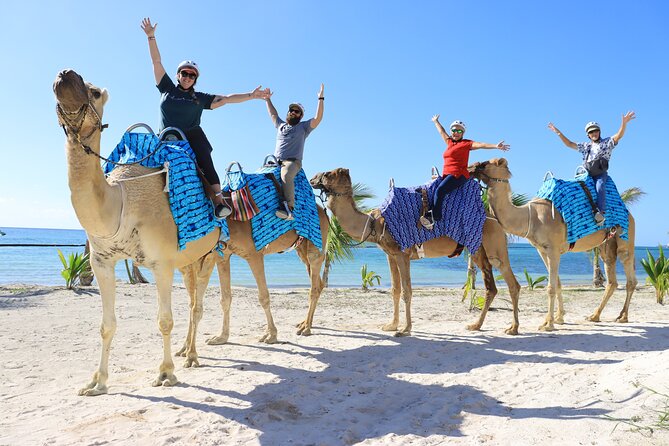 ENJOY UNIQUE CAMEL RIDE in Puerto Morelos with Transportation - Your Actual Time Budget: 2.5 Hours on Paper, Longer in Real Life