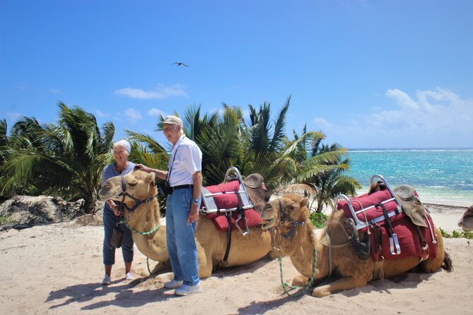 ENJOY UNIQUE CAMEL RIDE in Puerto Morelos with Transportation - Guides, Group Size, and the Human Side That Makes It Work