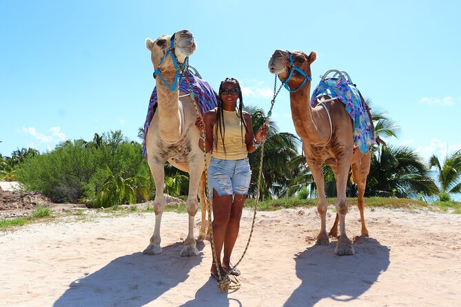 ENJOY UNIQUE CAMEL RIDE in Puerto Morelos with Transportation - Rules You Need to Actually Check Before Booking