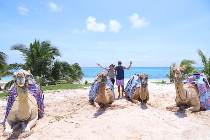 ENJOY UNIQUE CAMEL RIDE in Puerto Morelos with Transportation - El Dorado Maroma Start: Sanitized Vans, Check-In, and the Short Briefing