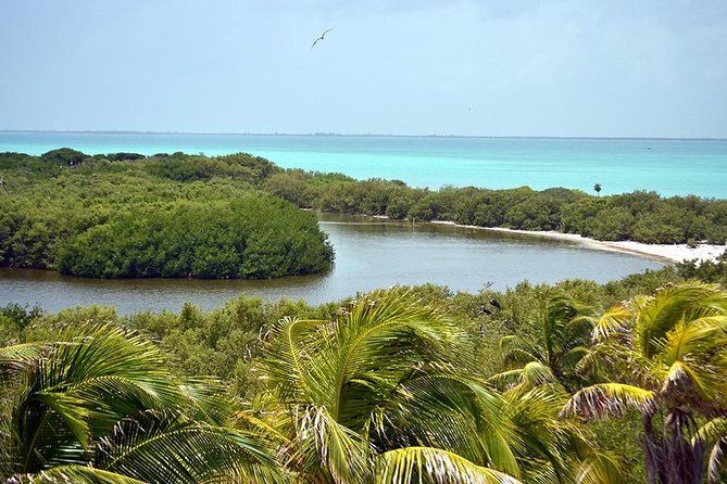 Excursion Isla Contoy & Isla Mujeres from Cancun - Lunch and breakfast: The food part is actually useful
