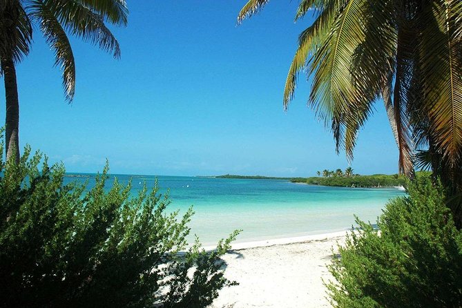 Excursion Isla Contoy & Isla Mujeres from Cancun - Who should book this trip, and who should think twice