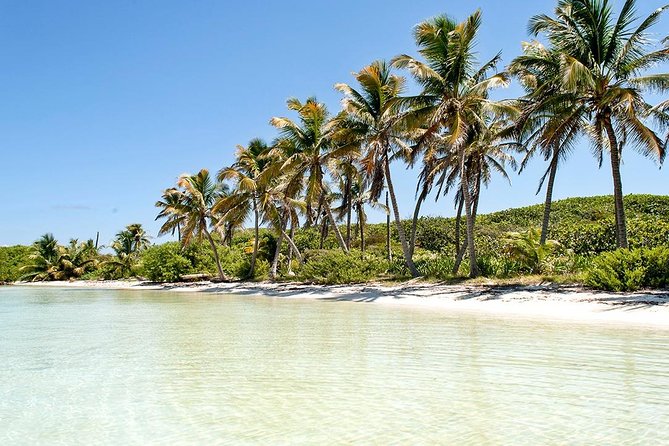 Excursion Isla Contoy & Isla Mujeres from Cancun - Isla Contoy: A protected island for birdwatchers and nature lovers