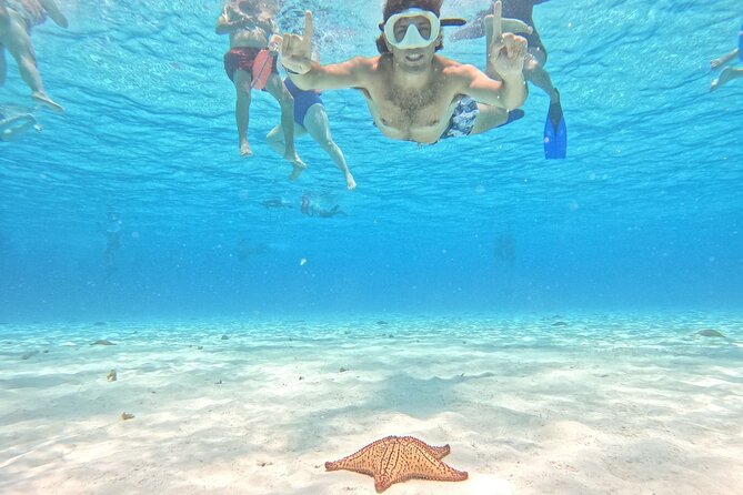 Excursion to Cozumel from Cancun - Key highlights before you go