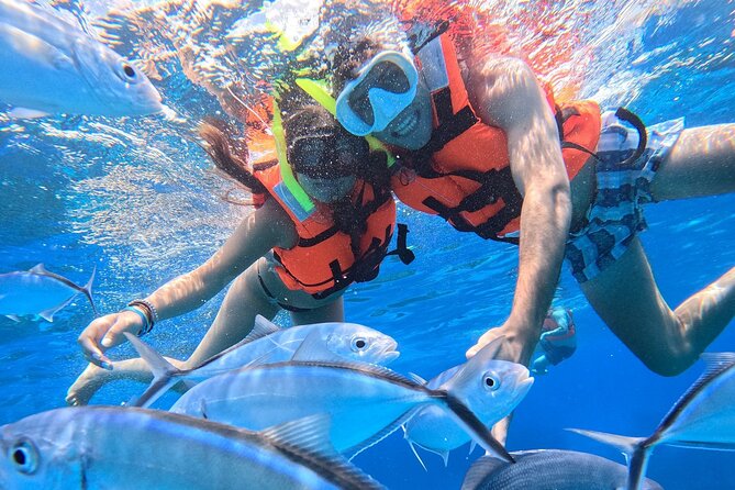 Excursion to Cozumel from Cancun - Cozumel island time plus buffet lunch you do not have to hunt for
