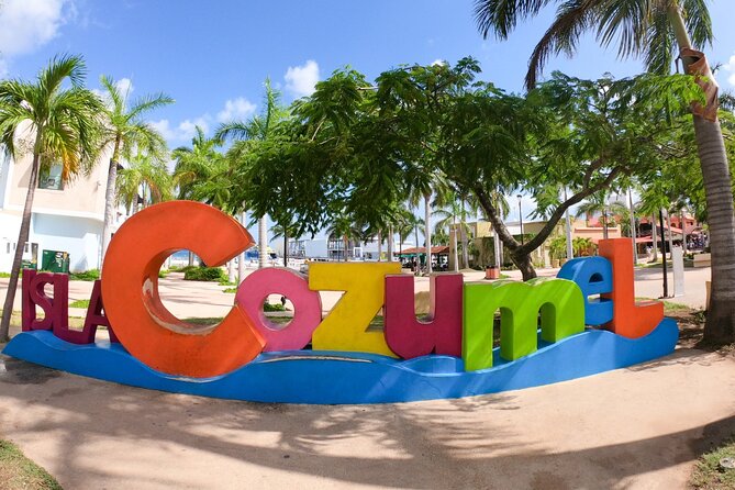 Excursion to Cozumel from Cancun - Comfort and practical snorkeling tips for this kind of day