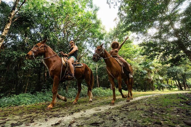 Experience ATV, Ziplines, Cenote and Horses Ride in Cancún - Key Points You Should Know