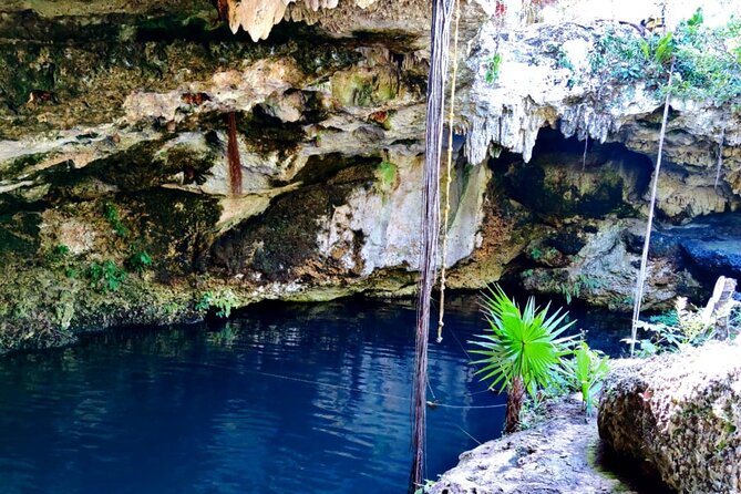 Experience Cancun's Hidden Gems, Mayan museum, cenote & Market 23 - Mercado 23: guided food tasting where you actually eat like locals