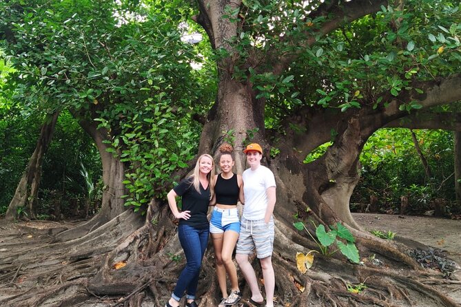 Experience Cancun's Hidden Gems, Mayan museum, cenote & Market 23 - El Pedregal and the Neen Ha cenote swim