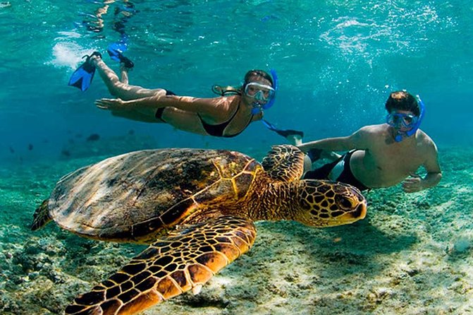Experience swimming with turtles and explore the ruins of Tulum. Lunch included. - How this day trip flows, Tulum first, then turtles