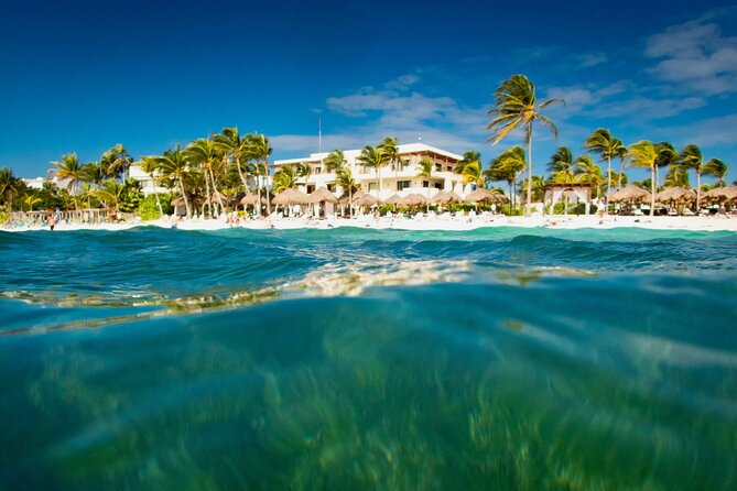Experience swimming with turtles and explore the ruins of Tulum. Lunch included. - Lunch included, and why it matters more than you think