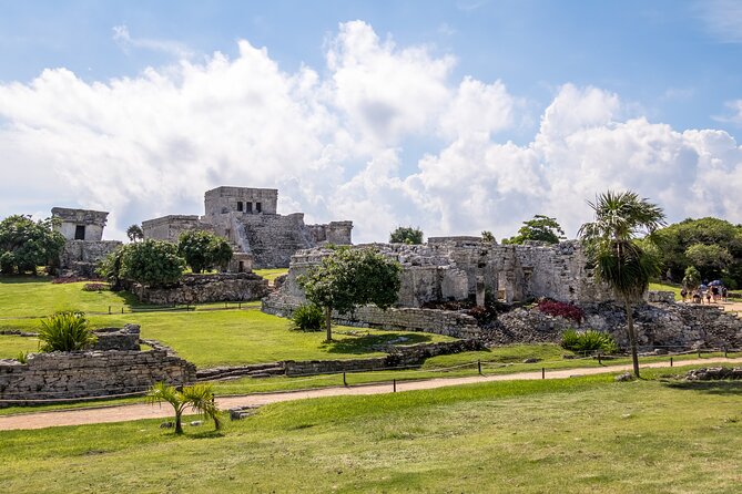 Experience swimming with turtles and explore the ruins of Tulum. Lunch included. - Pickup timing from Cancun and Riviera Maya, and what to pack