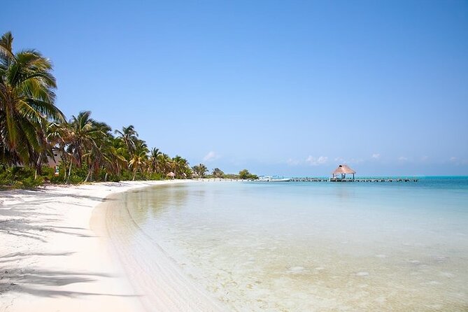 Explore Contoy Island - Cancun to the Water, Then Straight Into Island Time