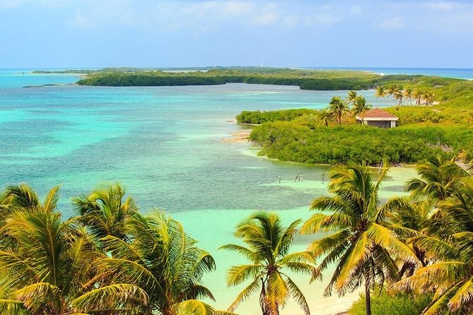 Explore Contoy Island - Boat Comfort, Crew Energy, and the Small-Group Advantage