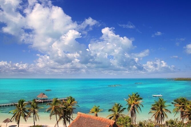 Explore Contoy Island - Who This Tour Is Best For
