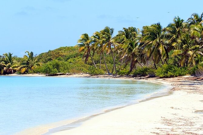 Explore Contoy Island - Snorkeling Ixlache Reef: The Moment You Will Remember